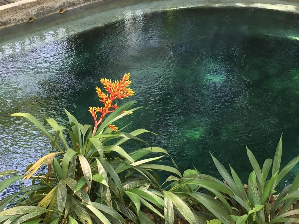 La Kuka Hotel - Nuqui Ngoại thất bức ảnh